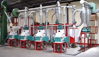Wheat Flour Milling Industry