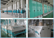 Wheat Flour Processing Plant